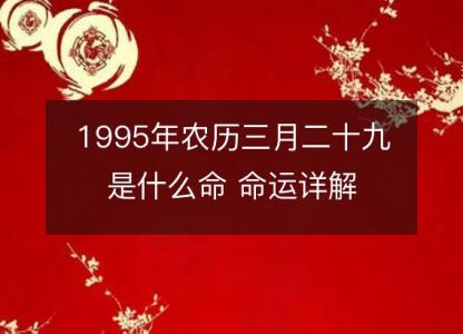 1995年农历三月二十九是什么命 命运<font color='red'>详解</font>