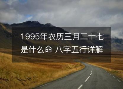 1995年农历三月二十七是什么命 八字五行<font color='red'>详解</font>