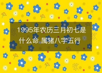 1995年农历三月初七是什么命 属猪八字五行 婚姻事业<font color='red'>详解</font>