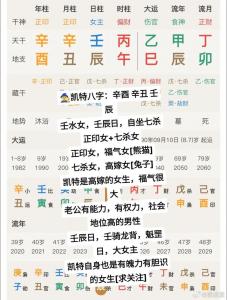 辛酉八字分析婚姻 八字辛酉看另一半长相