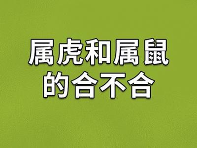 属虎和属鼠的亲人相配吗 属鼠的妈妈和属虎的孩子是什么意思？