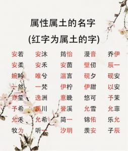 名字加生辰八字打分 孙米达名字八字打几分