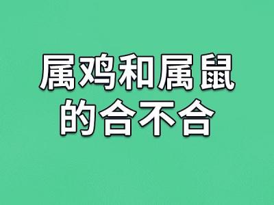 属鼠跟鸡配对 一鼠顶三鸡是什么意思？