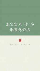 男宝宝起名兔带沐 带沐的男孩名字龙宝宝