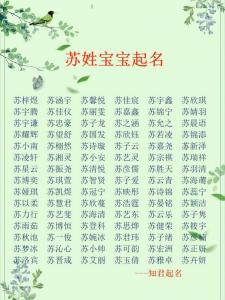 给宝宝起名字苏开头 苏字男孩取名100分