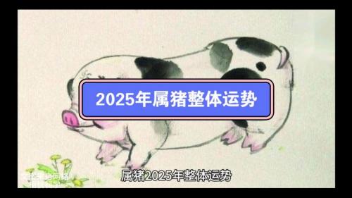 鸡年运势2025属猪 鸡年属猪的25年运气好吗是什么意思？