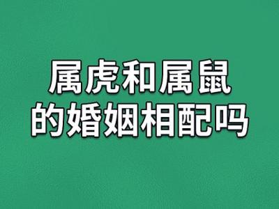 男属虎与属鼠相冲吗婚姻 属鼠女和属虎男相冲吗是什么意思？