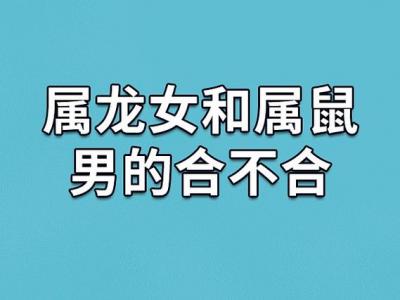 属龙男和属鼠女的感情 老公属兔老婆属龙是什么意思？