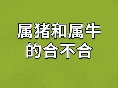 71年属猪跟牛相配 1995年属猪跟牛相配吗是什么意思？