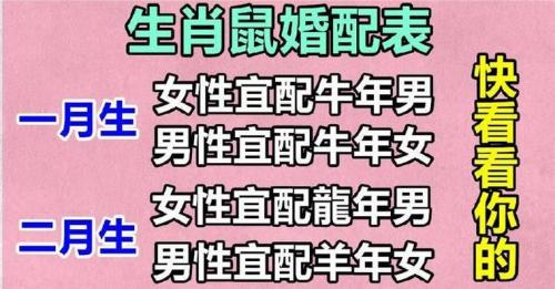 属鼠的运气1996婚姻 1996年属鼠的婚姻孽缘怎么样是什么意思？