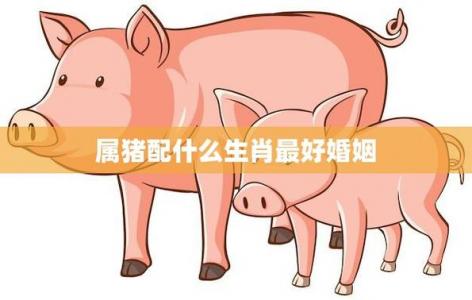 属猪生于午时婚姻好不好 2025年属猪佩戴饰物是什么意思？