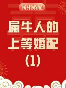 属牛与属鼠的婚姻怎样呢 96属鼠和97属牛配吗是什么意思？