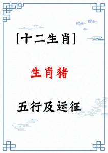 属猪哪年财运旺运最旺呢 属猪男士转运物件是什么意思？